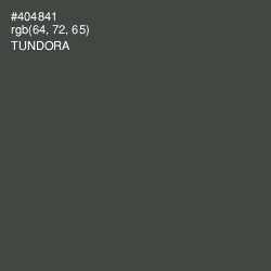 #404841 - Tundora Color Image