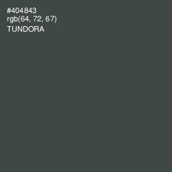 #404843 - Tundora Color Image