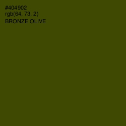 #404902 - Bronze Olive Color Image