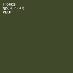 #404929 - Kelp Color Image