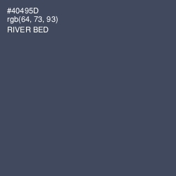 #40495D - River Bed Color Image