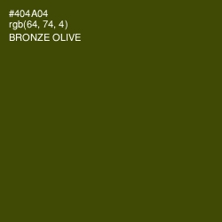 #404A04 - Bronze Olive Color Image