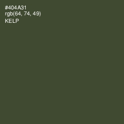 #404A31 - Kelp Color Image