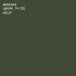 #404A34 - Kelp Color Image