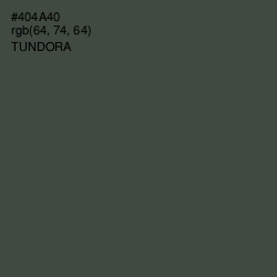 #404A40 - Tundora Color Image