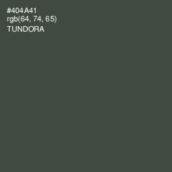 #404A41 - Tundora Color Image