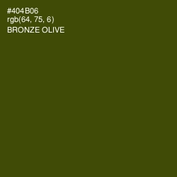 #404B06 - Bronze Olive Color Image