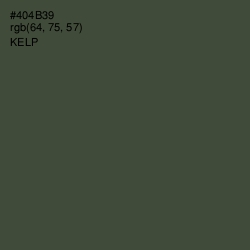 #404B39 - Kelp Color Image