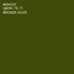 #404C07 - Bronze Olive Color Image