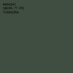 #404D41 - Tundora Color Image