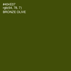 #404E07 - Bronze Olive Color Image