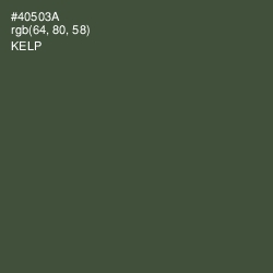 #40503A - Kelp Color Image