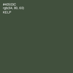 #40503C - Kelp Color Image