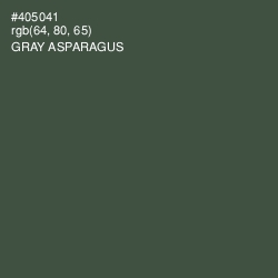 #405041 - Gray Asparagus Color Image