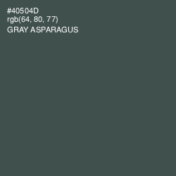 #40504D - Gray Asparagus Color Image