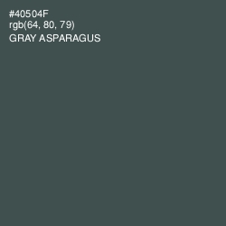 #40504F - Gray Asparagus Color Image