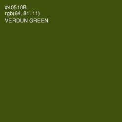 #40510B - Verdun Green Color Image