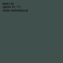 #40514D - Gray Asparagus Color Image