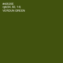 #40520E - Verdun Green Color Image