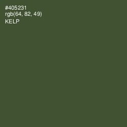 #405231 - Kelp Color Image