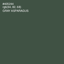 #405244 - Gray Asparagus Color Image