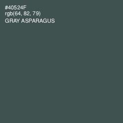 #40524F - Gray Asparagus Color Image