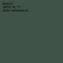 #405347 - Gray Asparagus Color Image