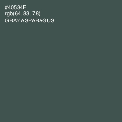 #40534E - Gray Asparagus Color Image