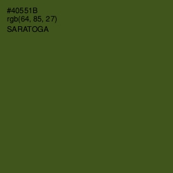 #40551B - Saratoga Color Image