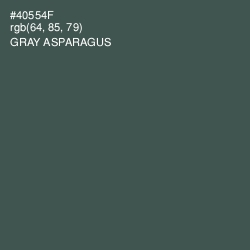 #40554F - Gray Asparagus Color Image