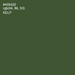 #405632 - Kelp Color Image