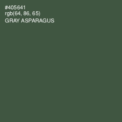 #405641 - Gray Asparagus Color Image