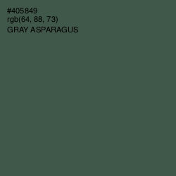 #405849 - Gray Asparagus Color Image