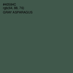 #40584C - Gray Asparagus Color Image