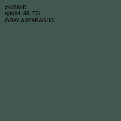 #40584D - Gray Asparagus Color Image
