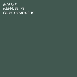 #40584F - Gray Asparagus Color Image