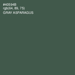 #40594B - Gray Asparagus Color Image