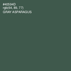 #40594D - Gray Asparagus Color Image