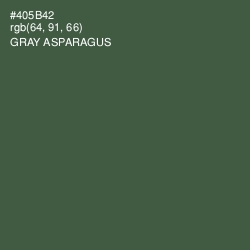 #405B42 - Gray Asparagus Color Image