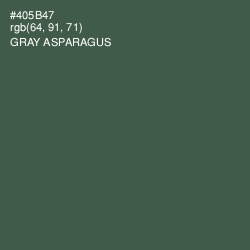 #405B47 - Gray Asparagus Color Image
