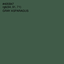 #405B47 - Gray Asparagus Color Image