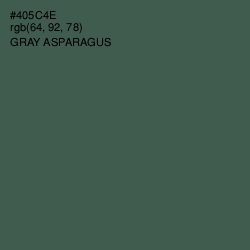 #405C4E - Gray Asparagus Color Image