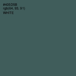 #405D5B - Nandor Color Image