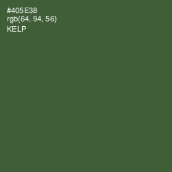 #405E38 - Kelp Color Image