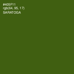 #405F11 - Saratoga Color Image
