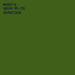 #405F19 - Saratoga Color Image