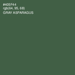 #405F44 - Gray Asparagus Color Image