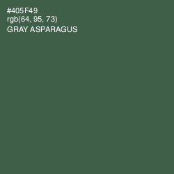 #405F49 - Gray Asparagus Color Image