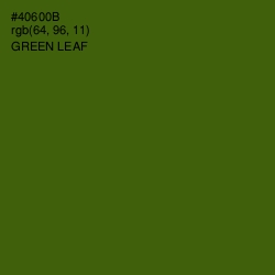 #40600B - Green Leaf Color Image