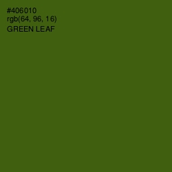 #406010 - Green Leaf Color Image